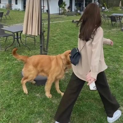 幽灵公馆