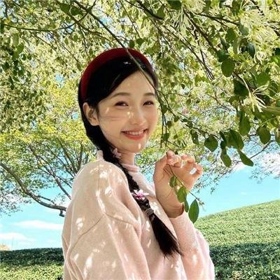 疯狂马迷